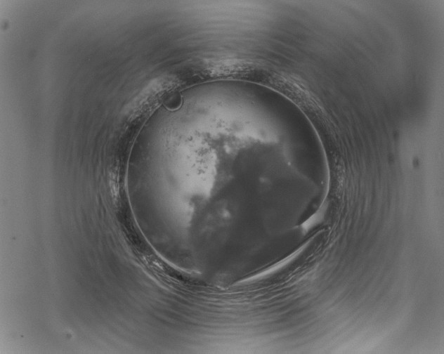 X0000068840691200605051302