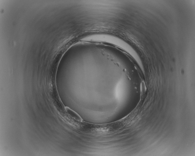 X0000068840692200605051302