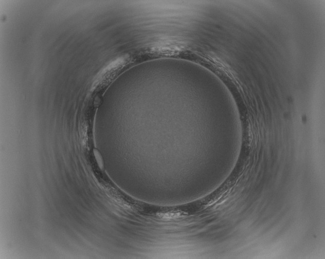 X0000068840693200605051302