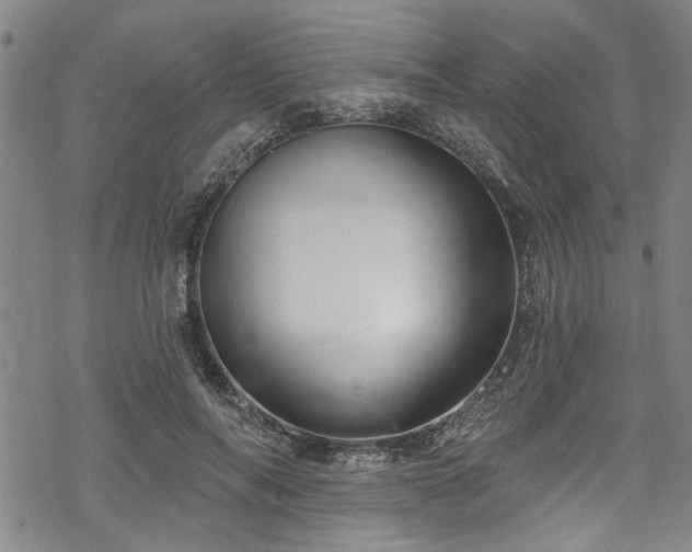 X0000068840694200605051302