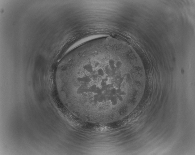 X0000068840695200605051302