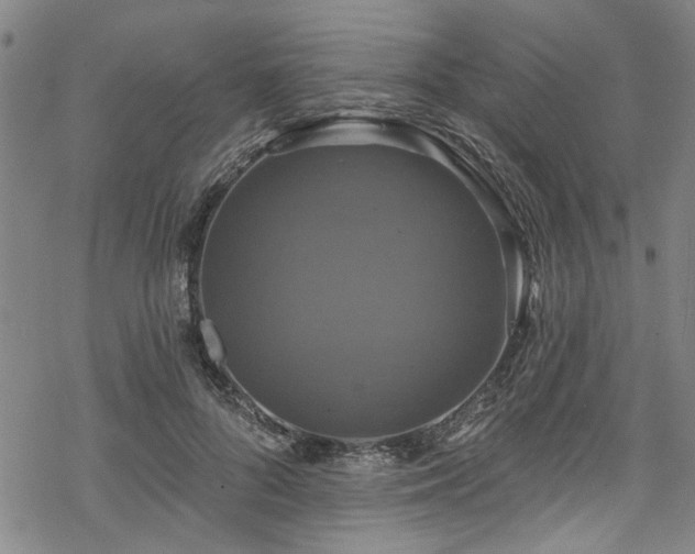 X0000068840696200605051302