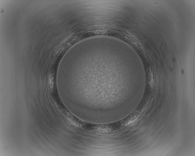 X0000068840697200605051302