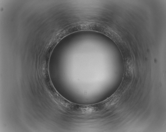 X0000068840698200605051302