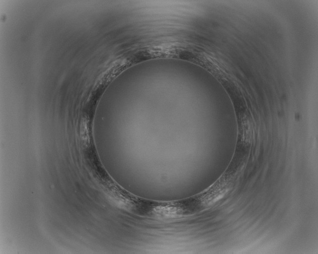 X0000068840699200605051302