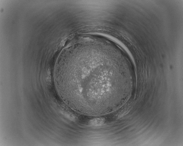 X0000068840700200605051302