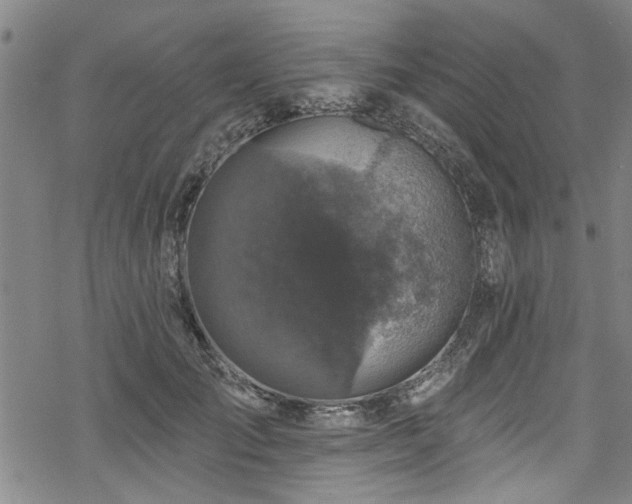 X0000068840701200605051302