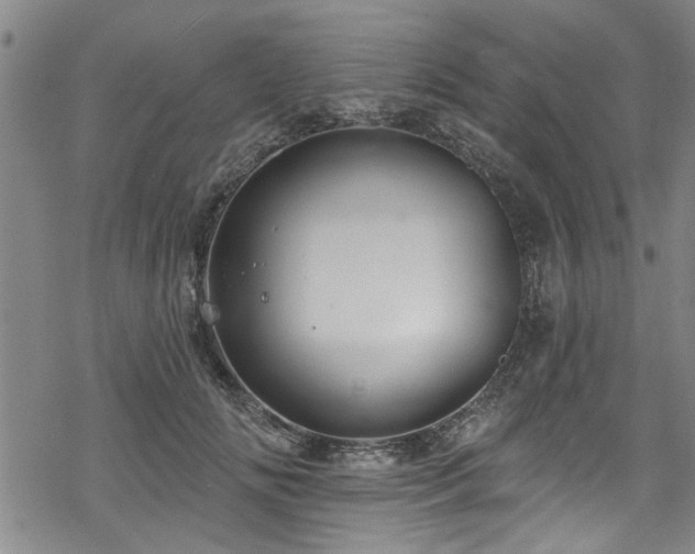 X0000068840702200605051302