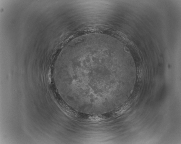 X0000068840703200605051302