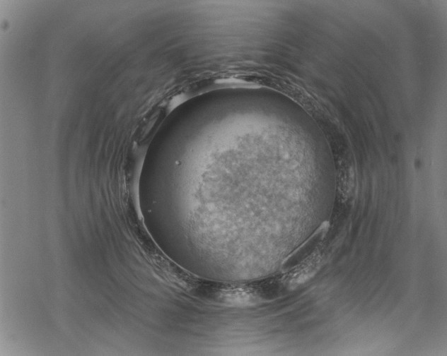 X0000068840704200605051302