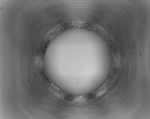 X0000068840705200605051302