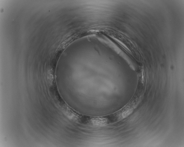 X0000068840707200605051302