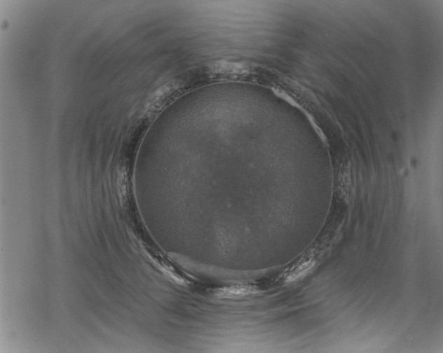 X0000068840708200605051302