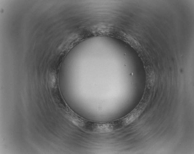 X0000068840709200605051302