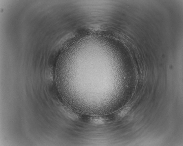 X0000068840710200605051302