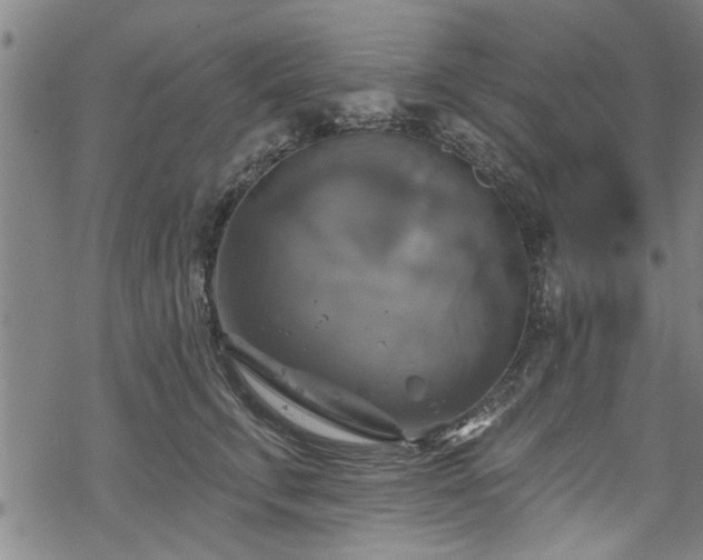 X0000068840711200605051302