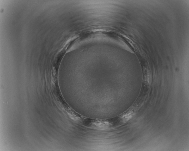 X0000068840712200605051302