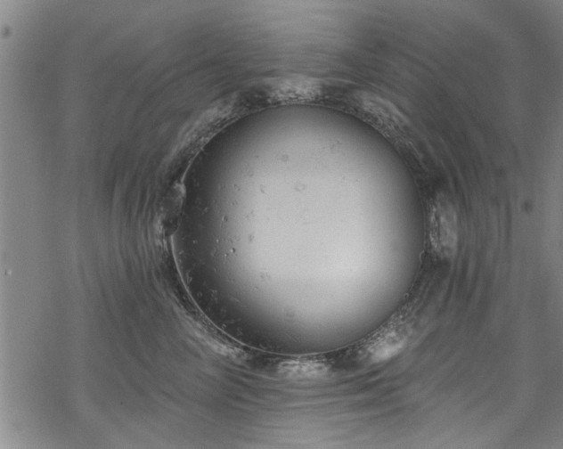 X0000068840714200605051302