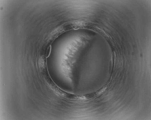 X0000068840715200605051302