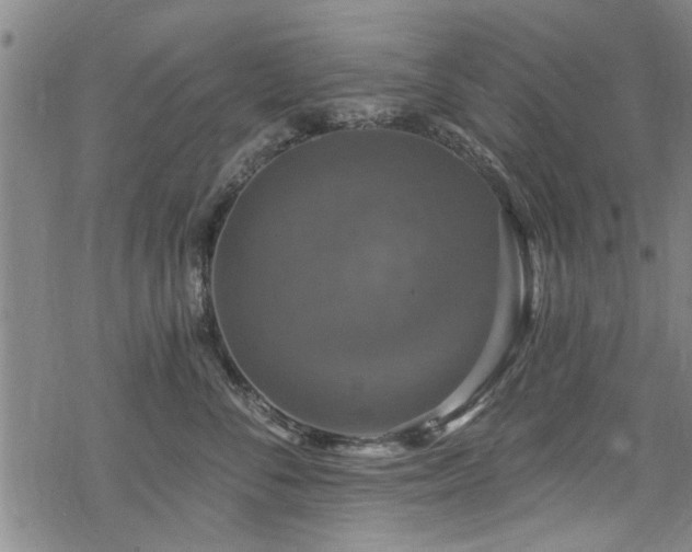 X0000068840716200605051302