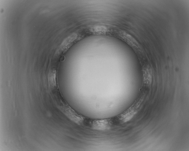 X0000068840717200605051302