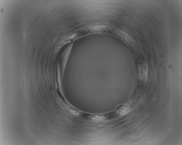 X0000068840718200605051302