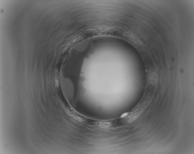 X0000068840719200605051302