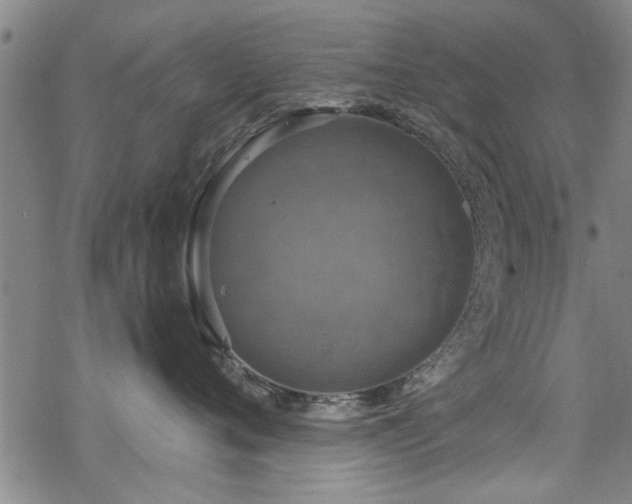 X0000068840720200605051302