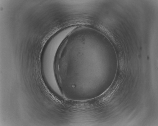 X0000068840721200605051301