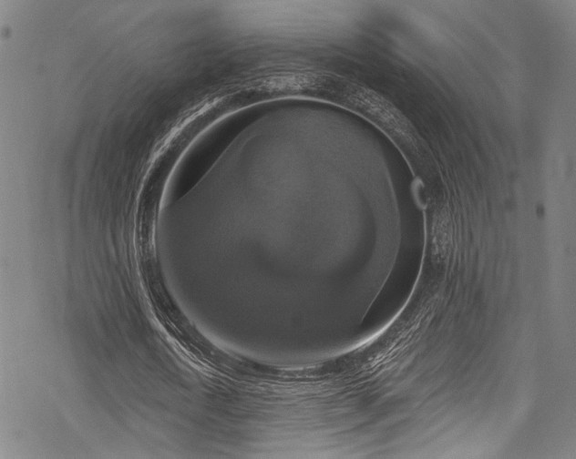 X0000068840722200605051301