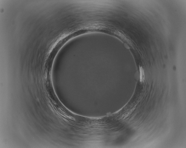 X0000068840723200605051301