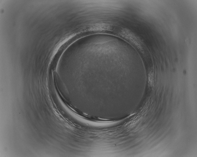 X0000068840724200605051301