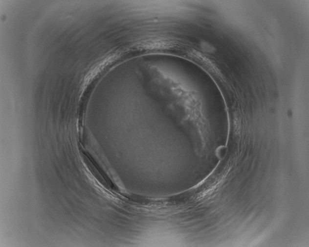 X0000068840725200605051301