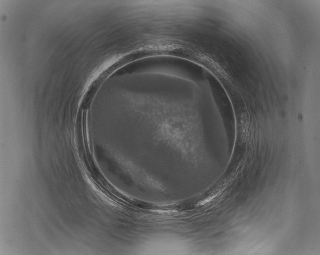 X0000068840726200605051301