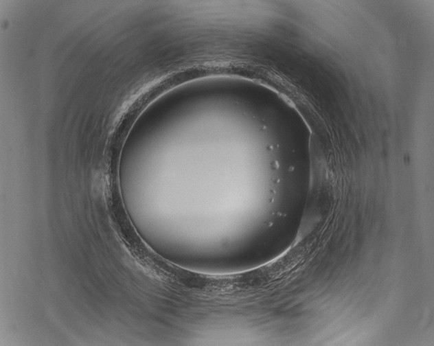 X0000068840728200605051301