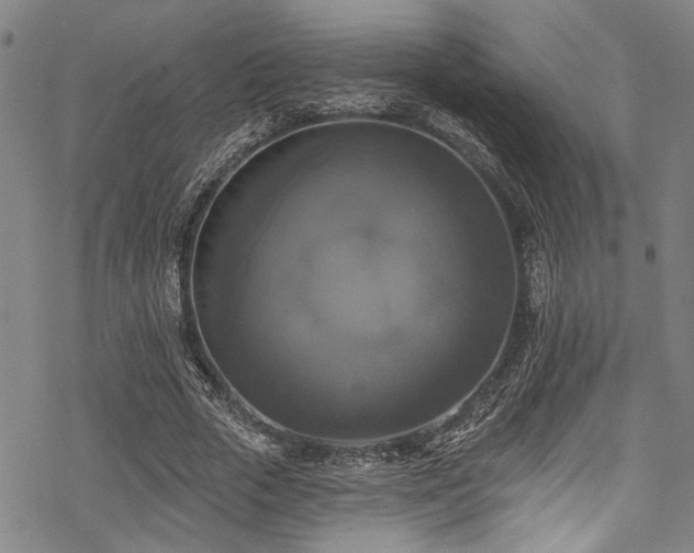 X0000068840729200605051301