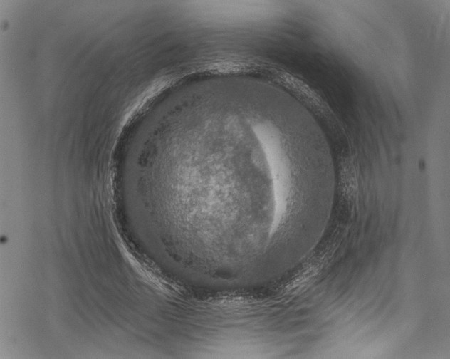 X0000068840730200605051301