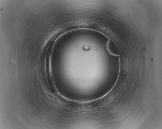 X0000068840731200605051301