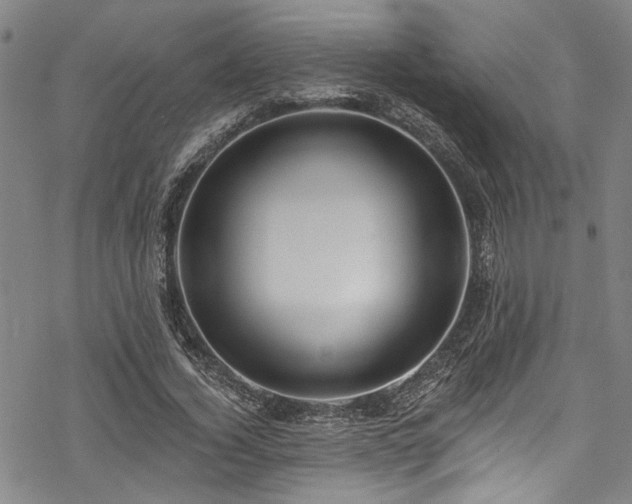 X0000068840732200605051301