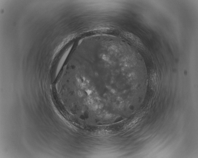 X0000068840734200605051301