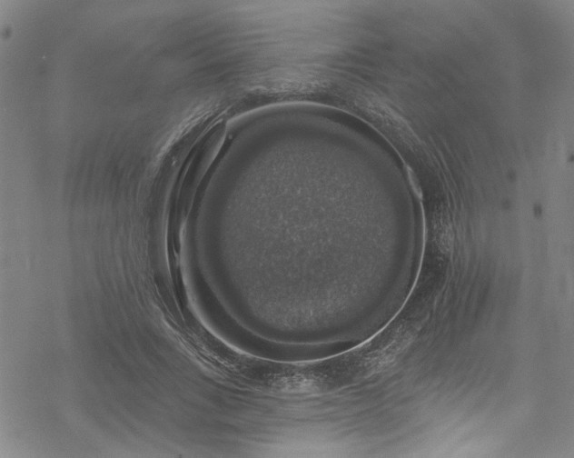 X0000068840735200605051301