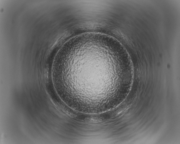 X0000068840739200605051301