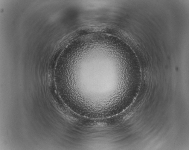 X0000068840741200605051301