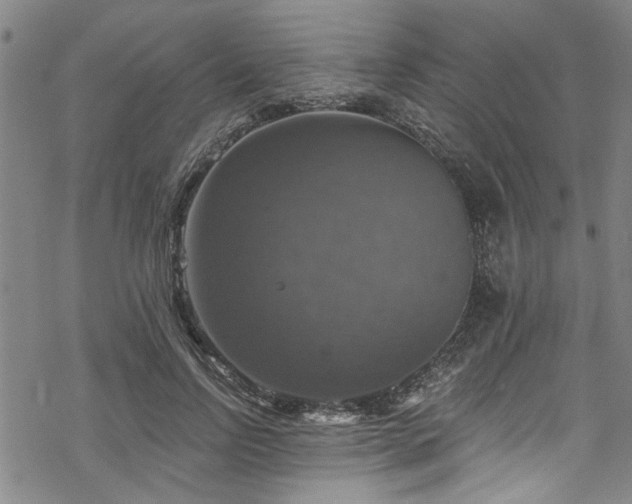 X0000068840742200605051301