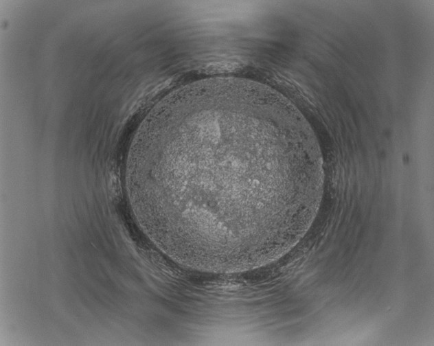 X0000068840743200605051301