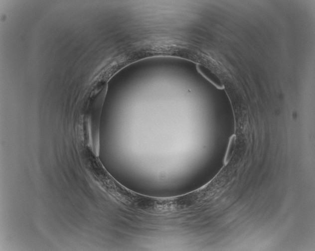 X0000068840744200605051301