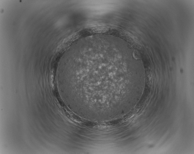 X0000068840745200605051301