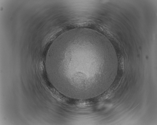 X0000068840746200605051301