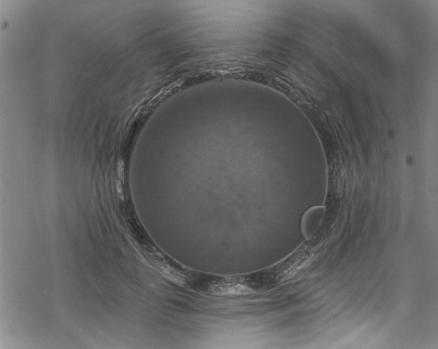 X0000068840747200605051301