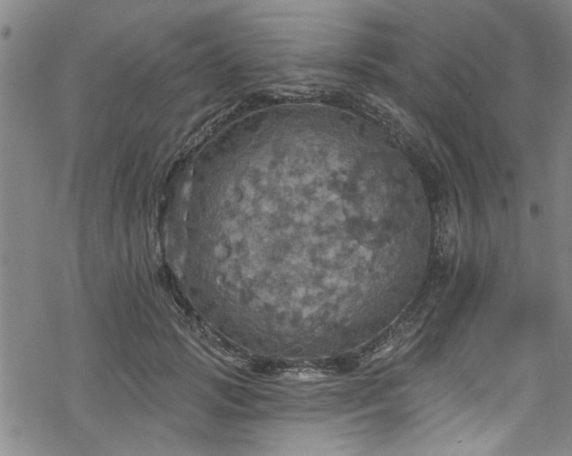 X0000068840749200605051301